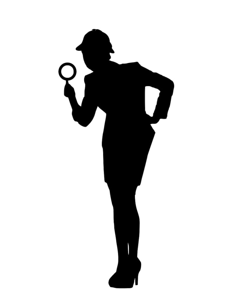 audit-investigation